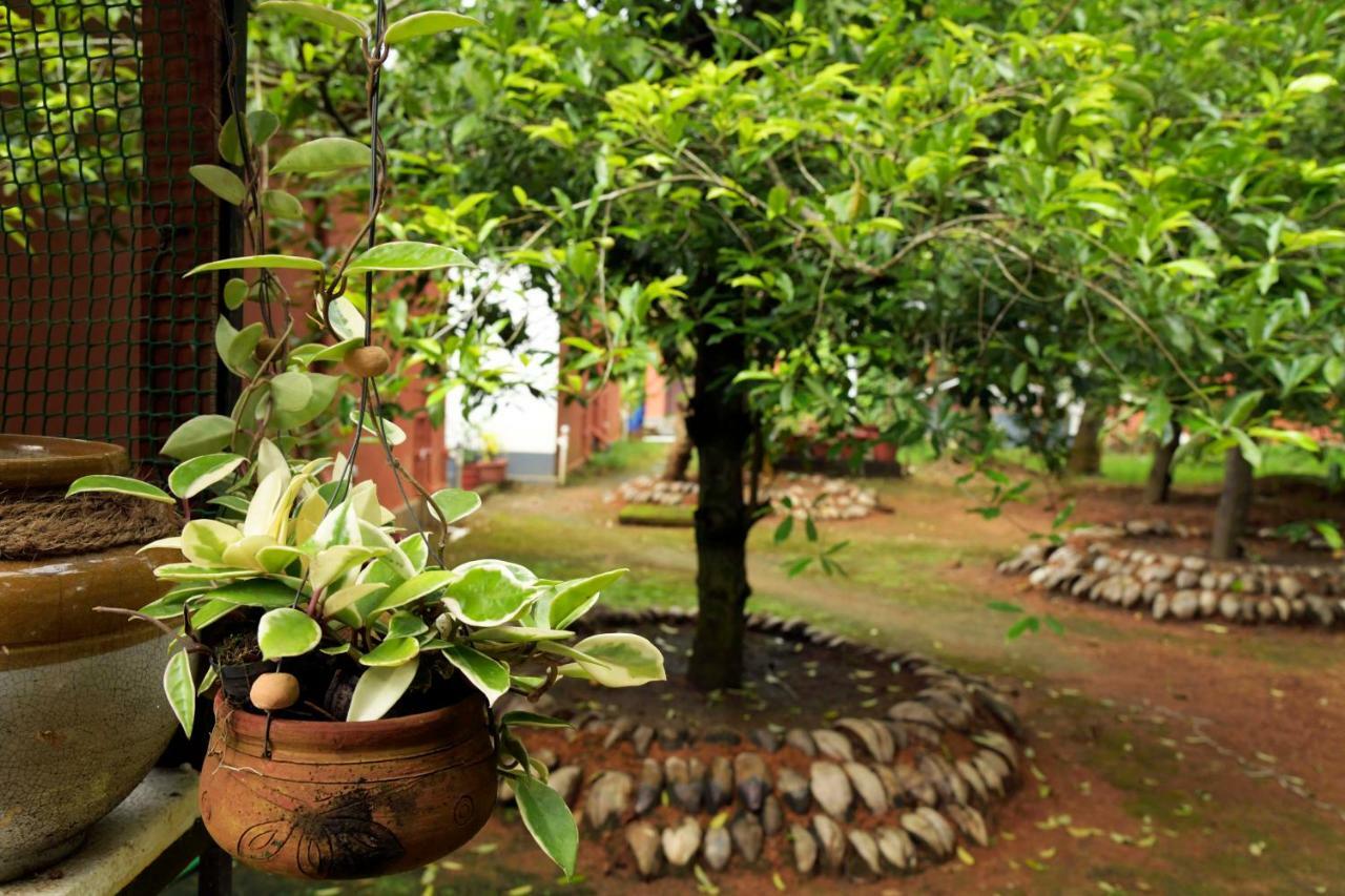 Stayvista At La Riva Heritage Villa With Bicycle Alappuzha Экстерьер фото